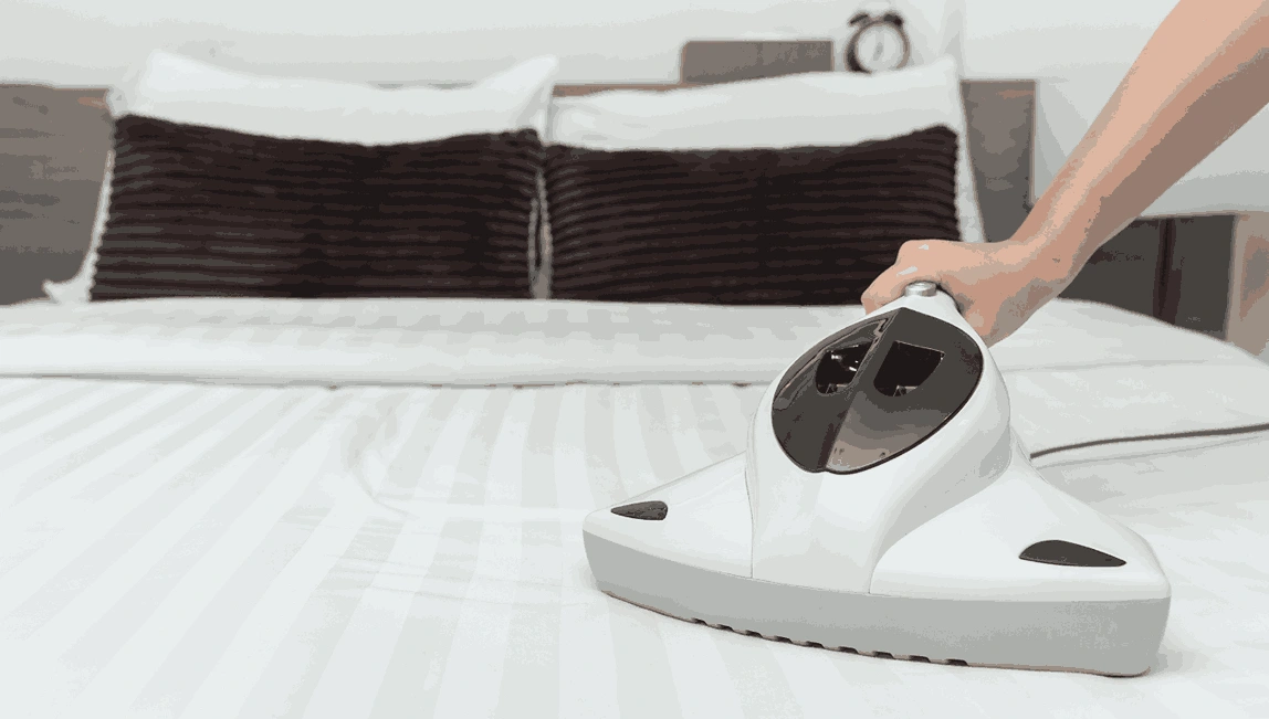 Professional Mattress Cleaning Kingsville